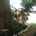 Апартаменты Baladur *