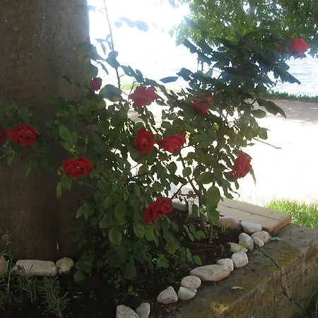 Apartmán Baladur *