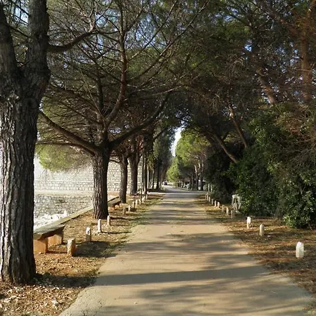 Apartman Baladur *