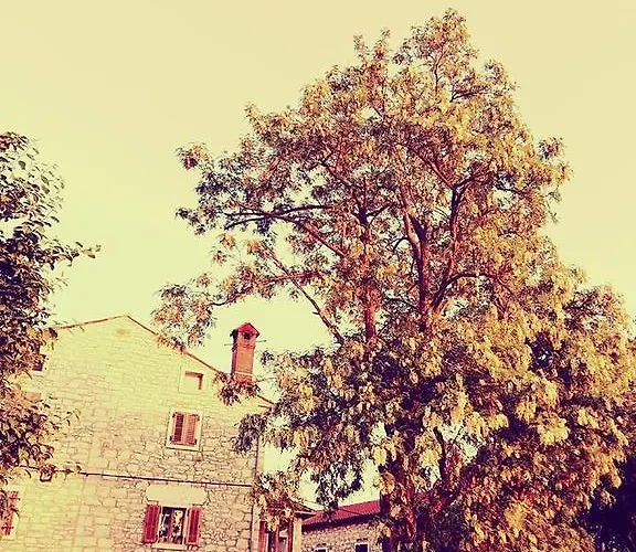 Apartmán Baladur Umag